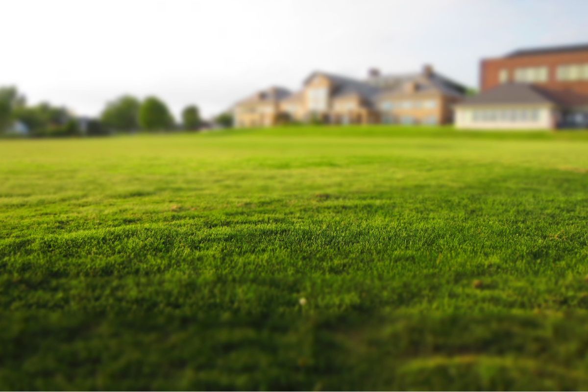 Quels types de terrains vendre ? Vendre un terrain